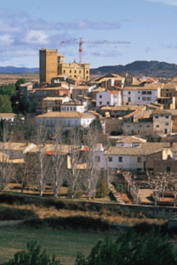 Biota